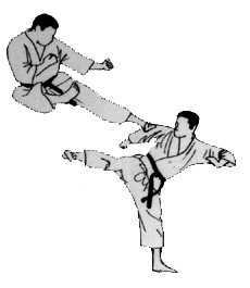 yoko-tobi-geri.gif